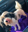 Maddie