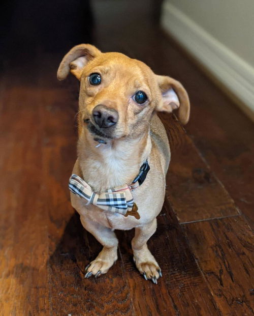 Eli