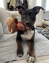 Maggie2