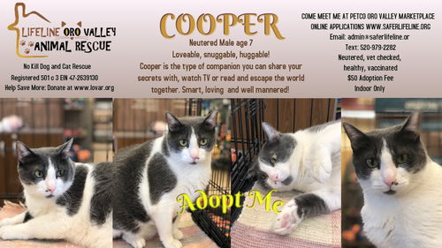 COOPER