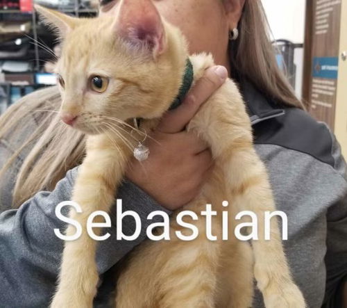 Sebastian