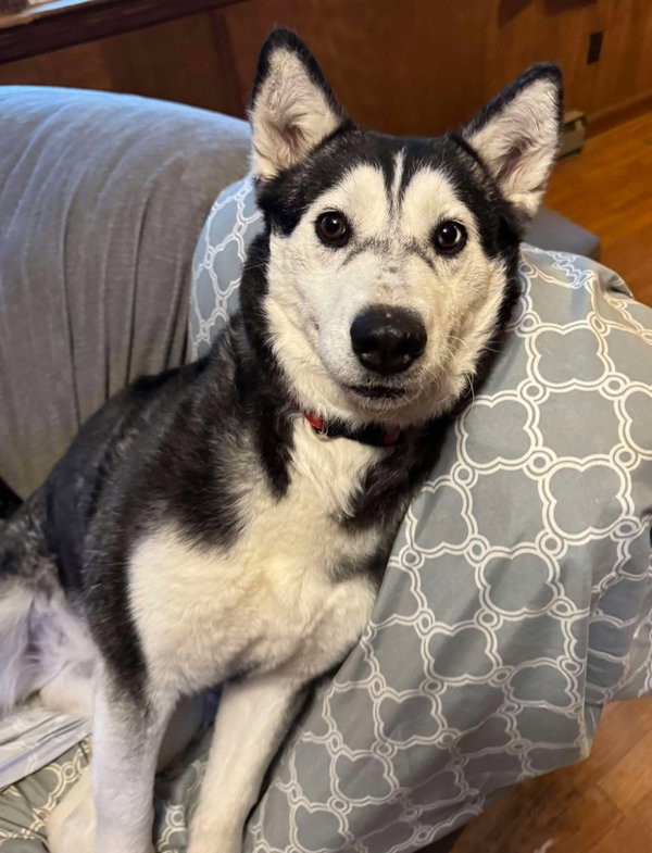 Niki