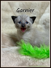 Garnier