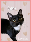 Gypsy