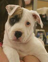 Sonny