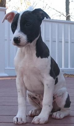 Skye