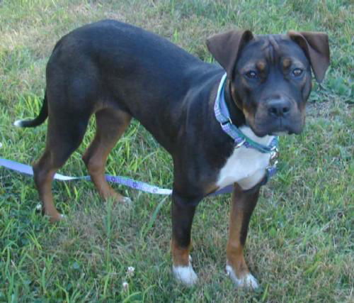 Shiloh