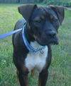 Shiloh