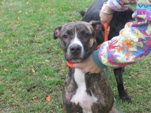 Lucy URGENT