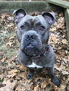 Lottie