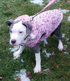 Shortcake n/ Tallulah