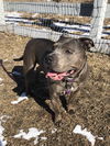 Sully n/ Dozer