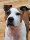 Annie