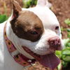 Lucy