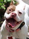 Lucy
