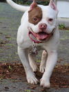 Lucy