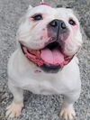 Ethel