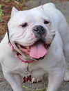 Ethel