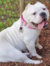 Ethel