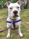 Lola