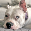 Lola