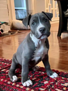 Ruby