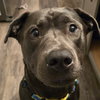 Maverick - Photo 2