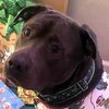Maverick - Photo 1