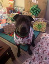 Maverick - Photo 3