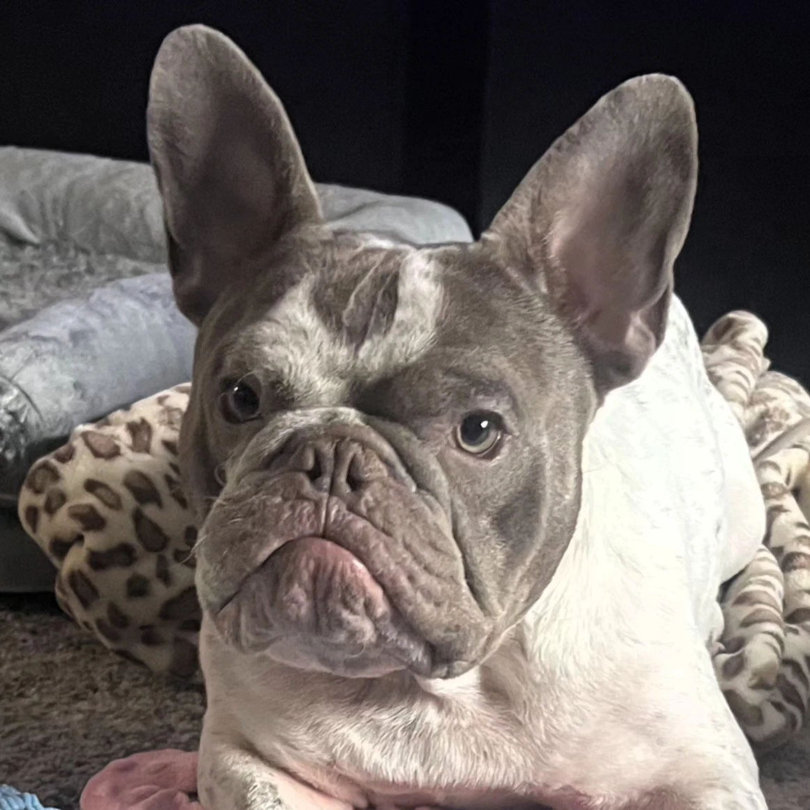 Giuseppe