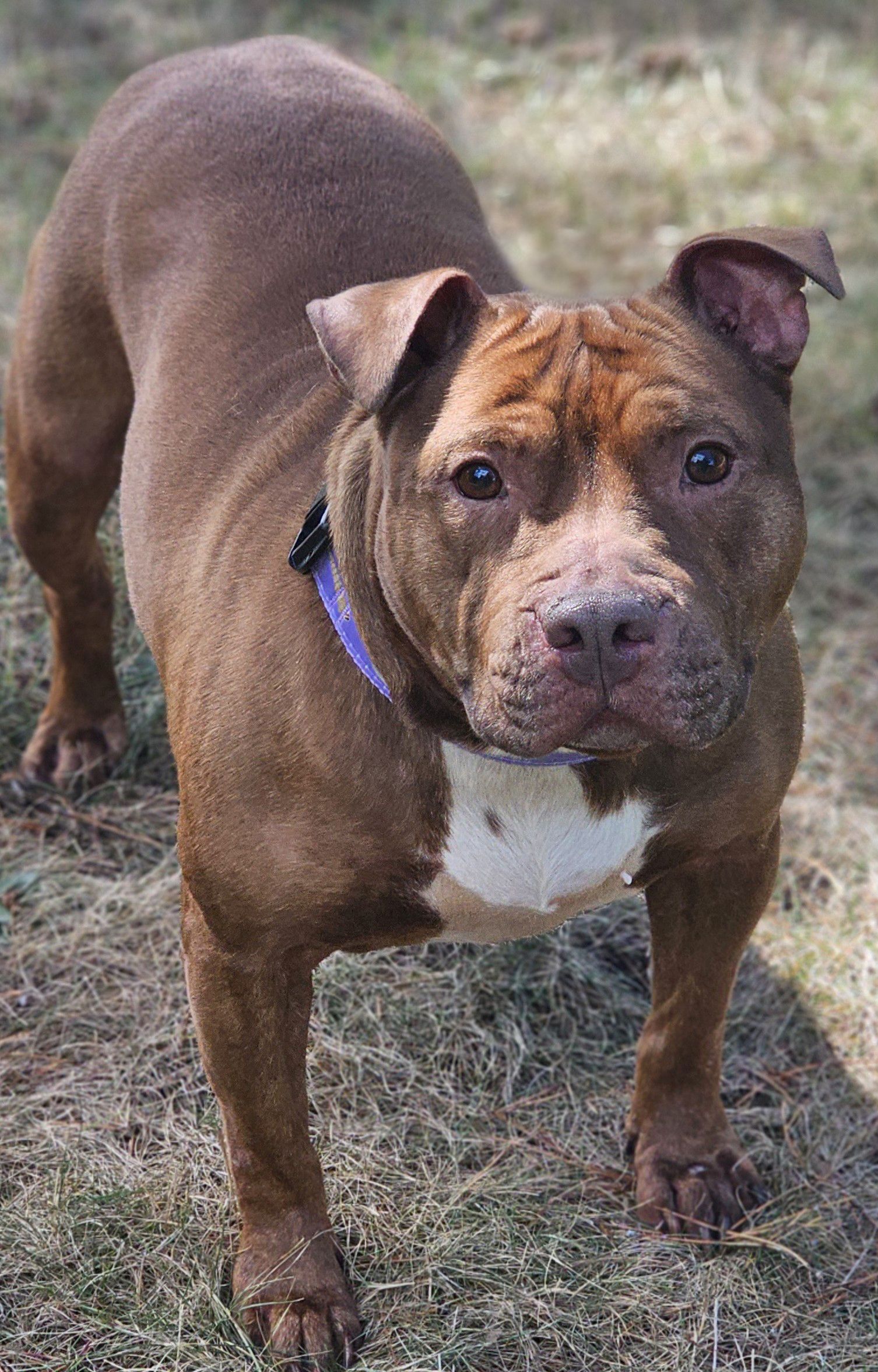 Velma, photo 4