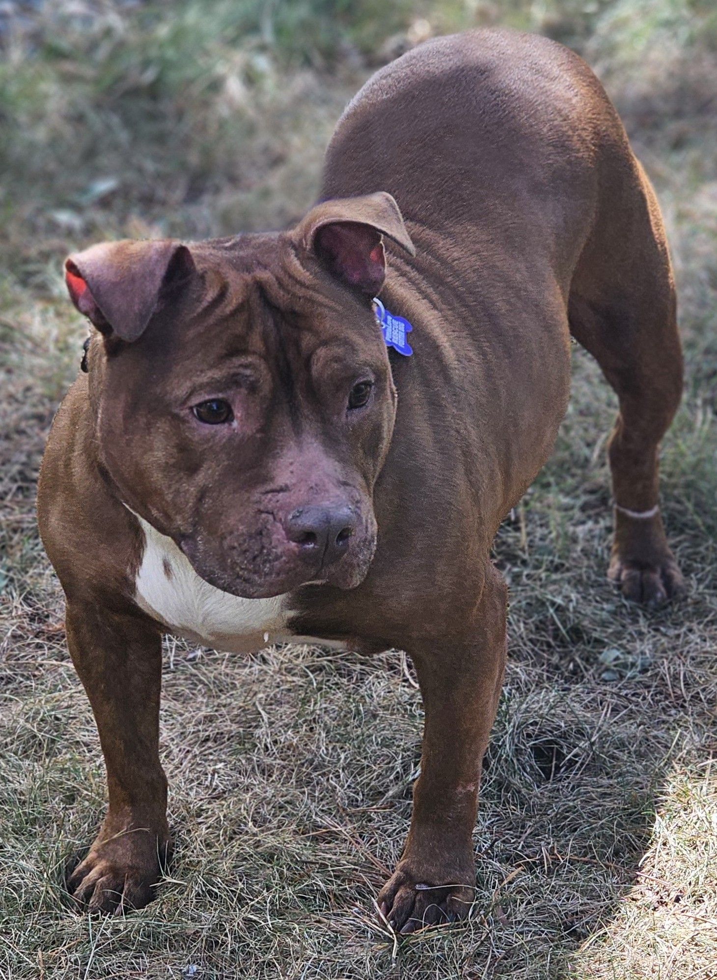 Velma, photo 5