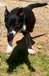 LeRoy - Photo 2