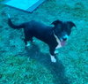 LeRoy - Photo 3