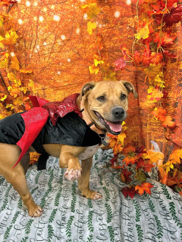 Betty image 2