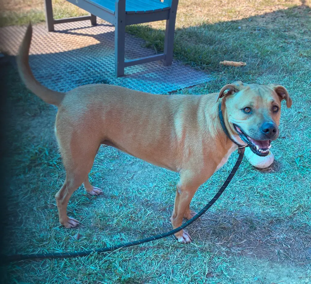 Betty image 4