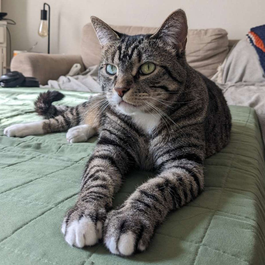 Boo