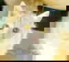 Muta