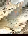 Mirabel