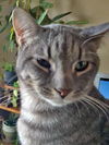 Spencer