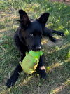 Huck