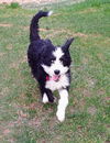 Mya (FTF -Albany County Only)