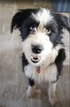 Mya (FTF -Albany County Only)