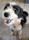 Mya (FTF -Albany County Only)