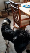 Mya (FTF -Albany County Only)