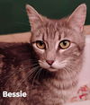 Bessie