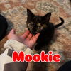 Mookie