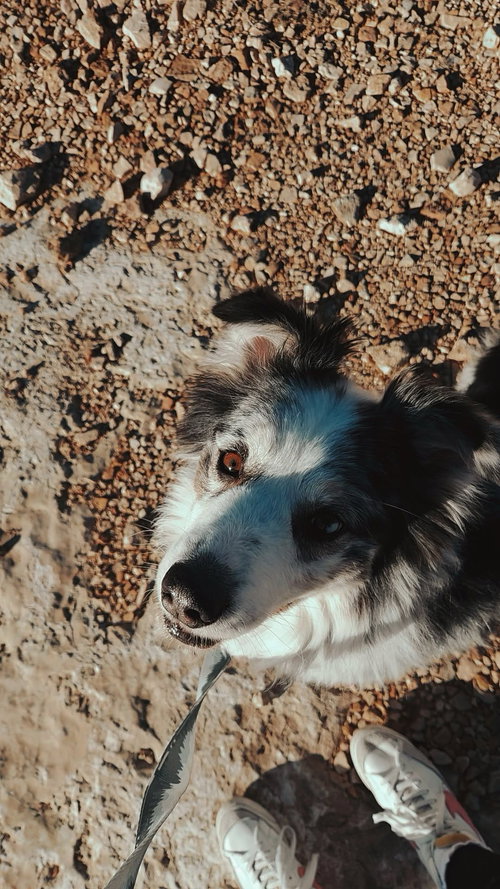Sully — thumbnail 5