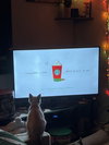Scotty