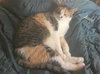 Mama Girl SPONSORED! - Photo 4
